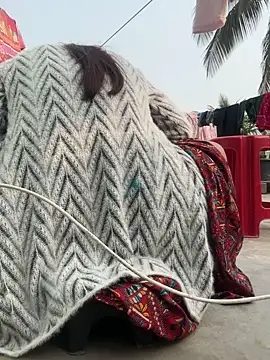 Ishikarana online show from January 2026 09:24:01 AM