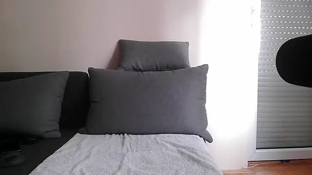 DickStaza online show from November 2025 12:44:02 PM