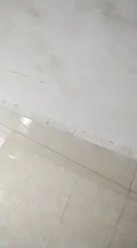 Flaquito pitudo online show from February 2025 12:03:02 PM