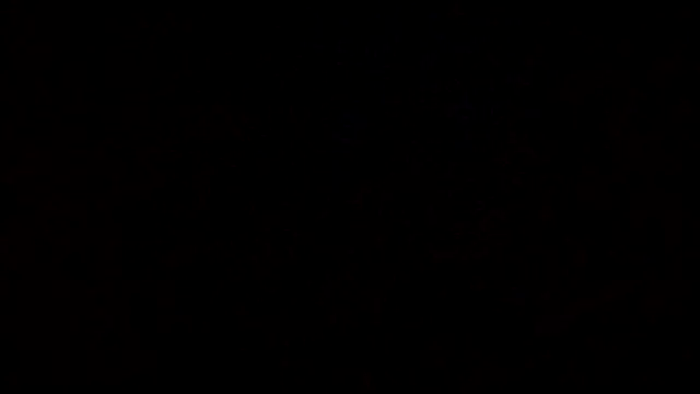 Flaquito pitudo online show from March 2025 09:57:01 AM