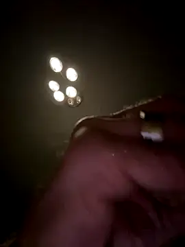 Shyboy817 online show from November 2025 02:00:01 AM