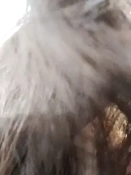 Kiritika 1 online show from March 2026 02:39:01 AM