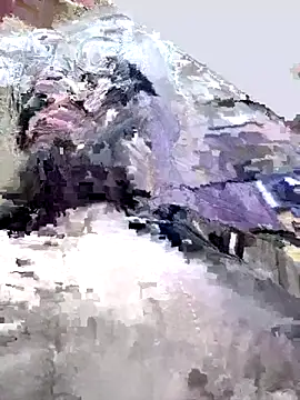 NikaMur online show from October 2025 02:21:02 AM