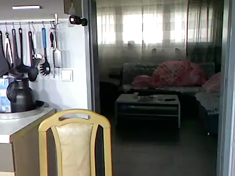 Snapshot of pimmelmann3 chatting on November 2025 11:40:02 AM pimmelmann3 online show from November 2025 11:40:02 AM