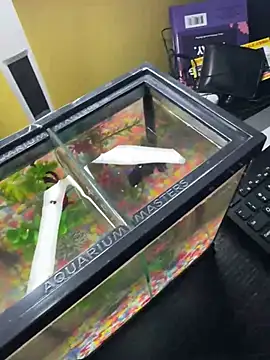 VFuck4U xxx online show from March 2025 01:21:01 PM