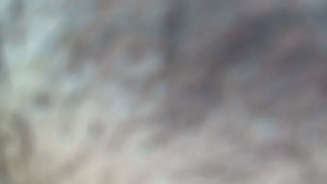 white sexy  online show from November 2025 11:38:02 PM