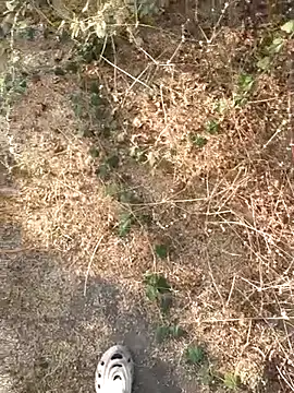 Ajith mvi online show from March 2026 11:37:02 AM