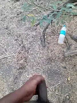 Ajith mvi online show from April 2026 01:19:01 AM