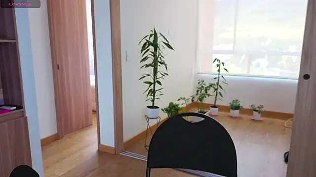 arteverena online show from June 2026 07:14:02 PM