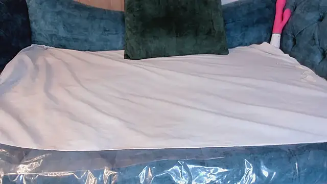 Snapshot of BrendaBrooks chatting on January 2025 04:41:01 PM BrendaBrooks online show from January 2025 04:41:01 PM