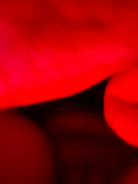 vulgovic  online show from June 2026 06:52:02 AM