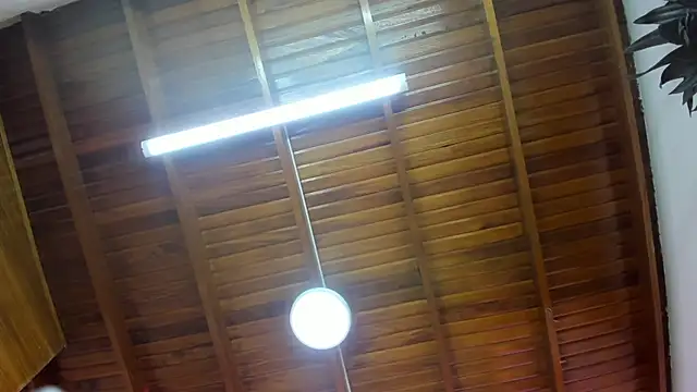 Levy Steve online show from November 2025 06:36:02 AM