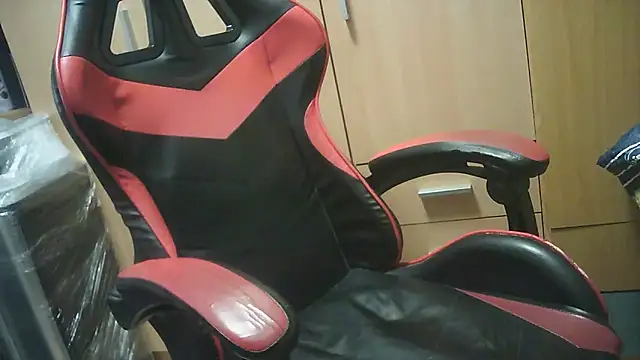 Javier bear online show from October 2025 08:06:01 AM