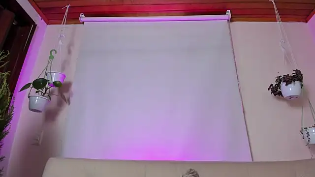 Snapshot of roselinedior chatting on January 2025 04:11:02 PM roselinedior online show from January 2025 04:11:02 PM