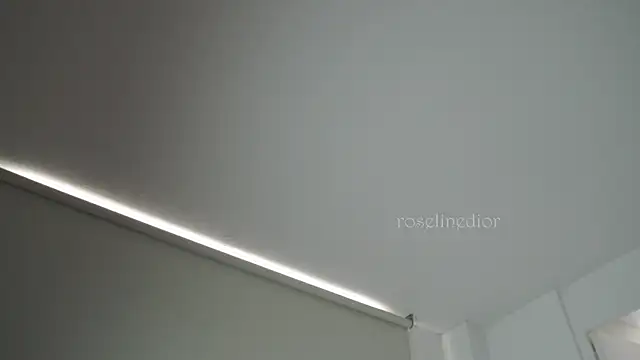 Snapshot of roselinedior chatting on September 2025 03:05:01 PM roselinedior online show from September 2025 03:05:01 PM