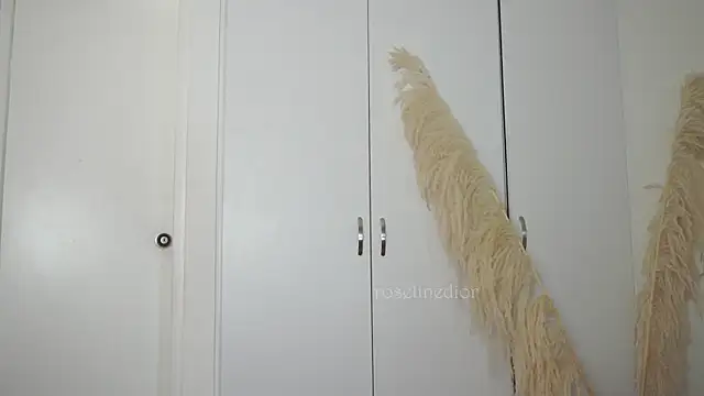 Snapshot of roselinedior chatting on October 2025 02:05:02 PM roselinedior online show from October 2025 02:05:02 PM