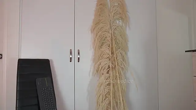 Snapshot of roselinedior chatting on October 2025 02:17:02 PM roselinedior online show from October 2025 02:17:02 PM