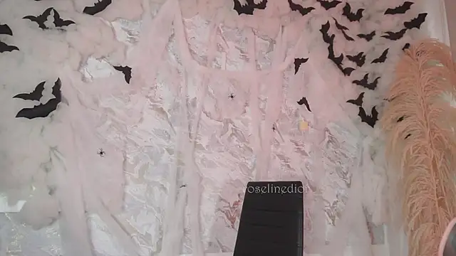 Snapshot of roselinedior chatting on October 2025 02:02:01 PM roselinedior online show from October 2025 02:02:01 PM