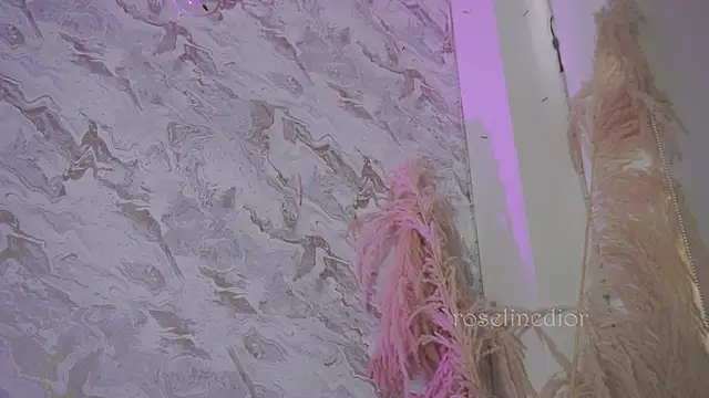 roselinedior online show from December 2025 01:17:04 PM