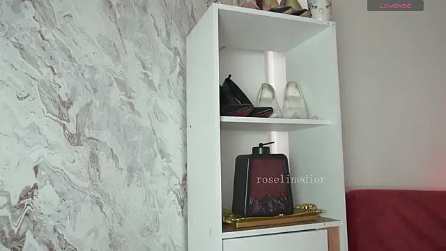 roselinedior online show from April 2026 02:06:02 PM