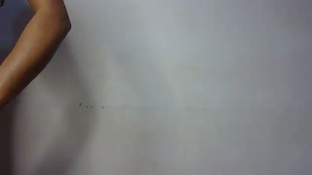 seema raani online show from January 2025 03:34:02 PM