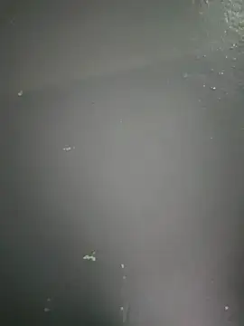 kamasutra20 online show from December 2025 01:01:02 AM