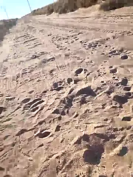 prettyboi6992 online show from March 2026 11:51:02 PM