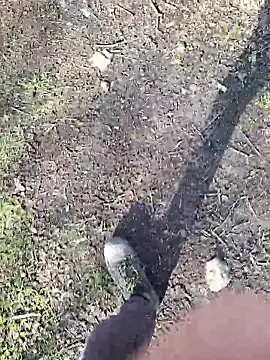 FreezingTie850 online show from March 2026 03:07:02 PM