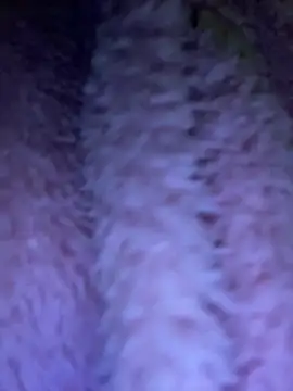 TrenaAnne online show from March 2025 04:28:02 AM