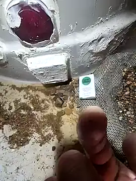 cdressupdiva online show from January 2025 03:50:01 PM