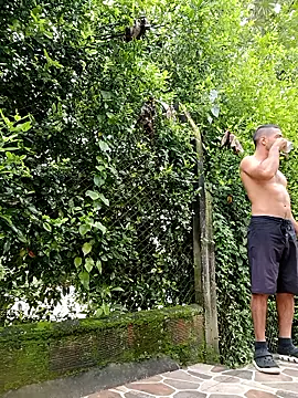 sebasxx97 online show from January 2026 02:00:01 PM