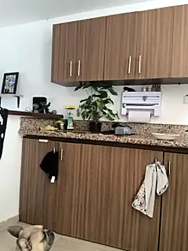 Snapshot of RachellGraham chatting on February 2025 07:47:02 PM RachellGraham online show from February 2025 07:47:02 PM