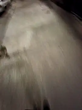 BandidodeAmores 84 online show from October 2025 03:07:01 AM