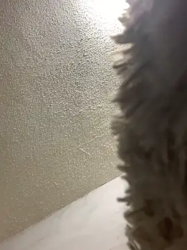 talitasilvx online show from March 2025 11:09:01 PM