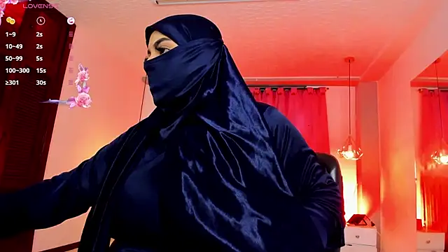 haddy ss online show from December 2024 08:13:01 PM