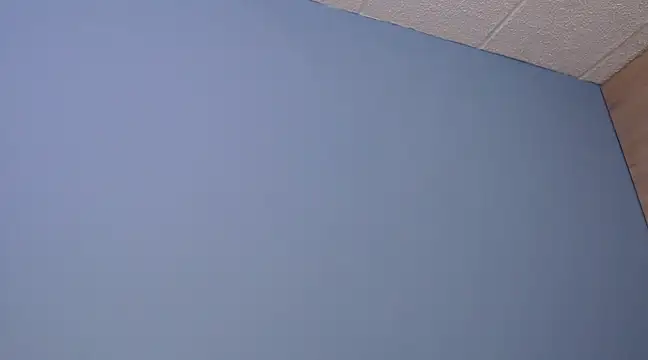 Snapshot of Lilly_macflyy chatting on December 2024 08:03:02 PM Lilly macflyy online show from December 2024 08:03:02 PM