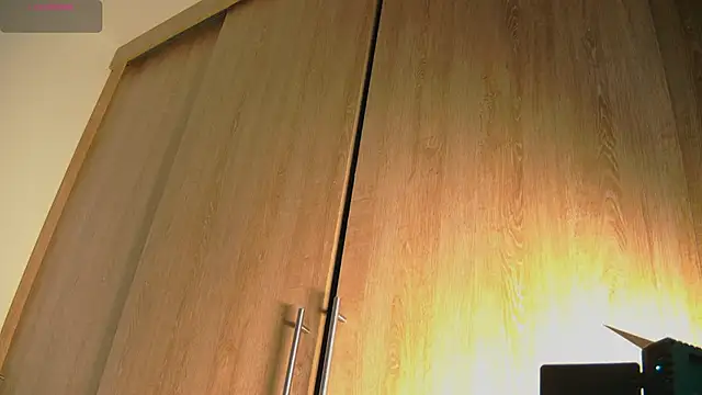 Snapshot of aidaadams chatting on October 2025 11:46:02 AM aidaadams online show from October 2025 11:46:02 AM