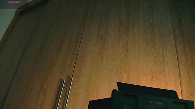 Snapshot of aidaadams chatting on October 2025 08:33:02 AM aidaadams online show from October 2025 08:33:02 AM