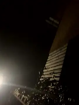 jent59 online show from January 2026 02:16:01 AM