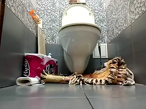 zsd off online show from November 2025 12:27:02 PM