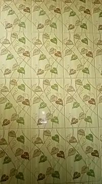 Anusri- online show from February 2025 06:20:01 AM