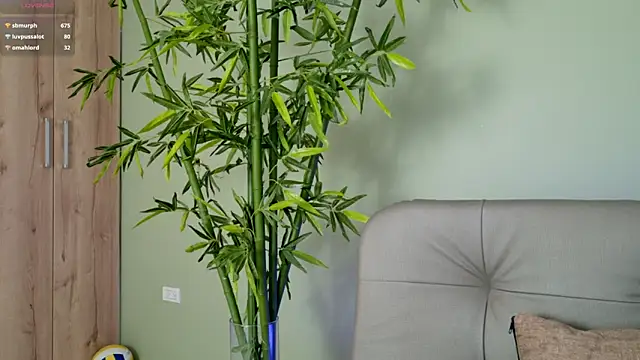 were-Naughty online show from February 2025 11:15:01 PM