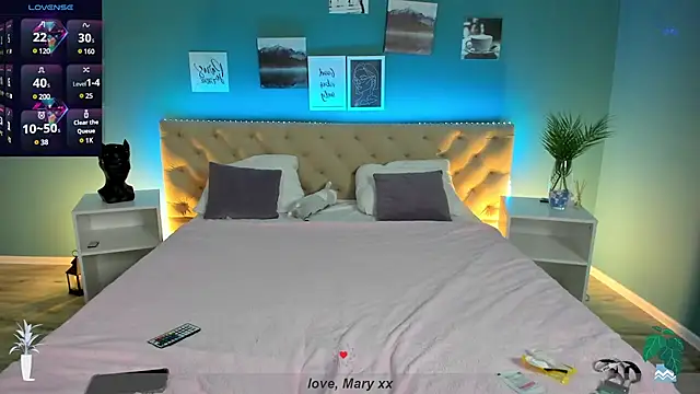 Snapshot of Mary_Xextra chatting on February 2025 01:05:01 AM Mary Xextra online show from February 2025 01:05:01 AM