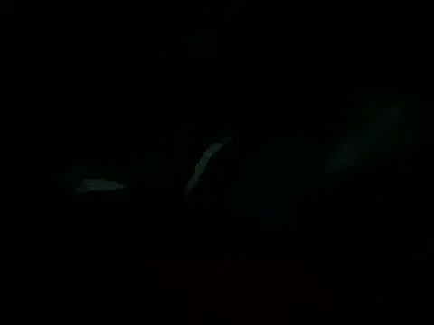 Billythekidd1978 online show from March 2025 05:20:01 PM