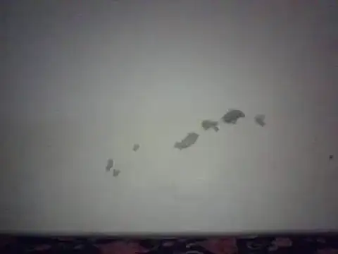 pritty-leila online show from January 2025 02:46:01 PM