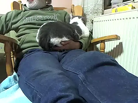 zormen355 online show from November 2025 06:29:02 PM