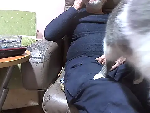 zormen355 online show from April 2026 06:30:02 PM