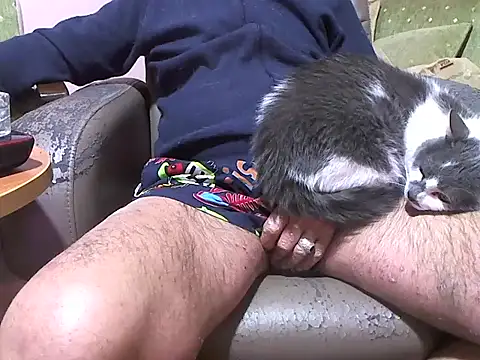 zormen355 online show from April 2026 07:47:02 PM