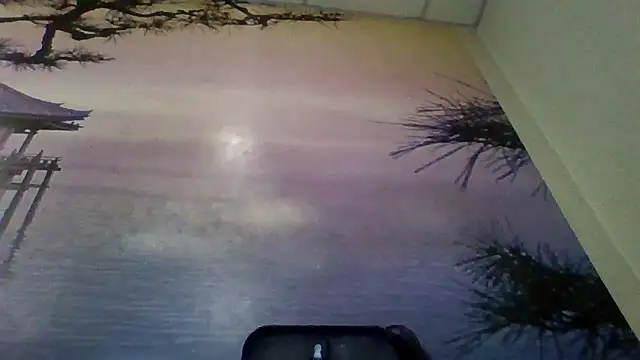 AliceTailor online show from February 2026 07:56:02 PM