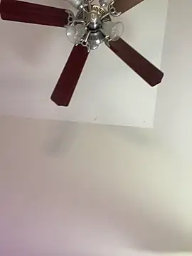 shaarebaare online show from February 2025 10:43:01 PM